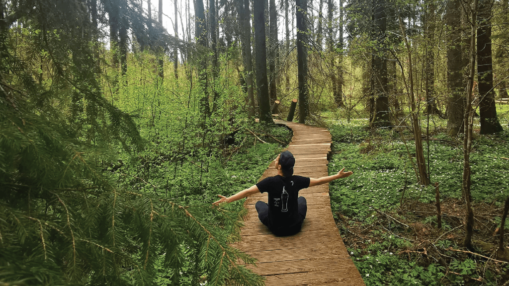 studio alladyn paweł konkel