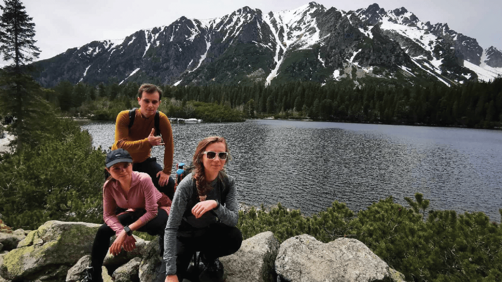 studio alladyn firma graficzna