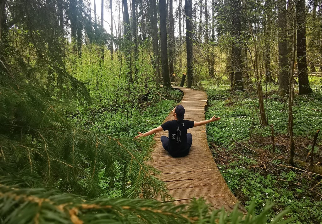 paweł konkel studio alladyn